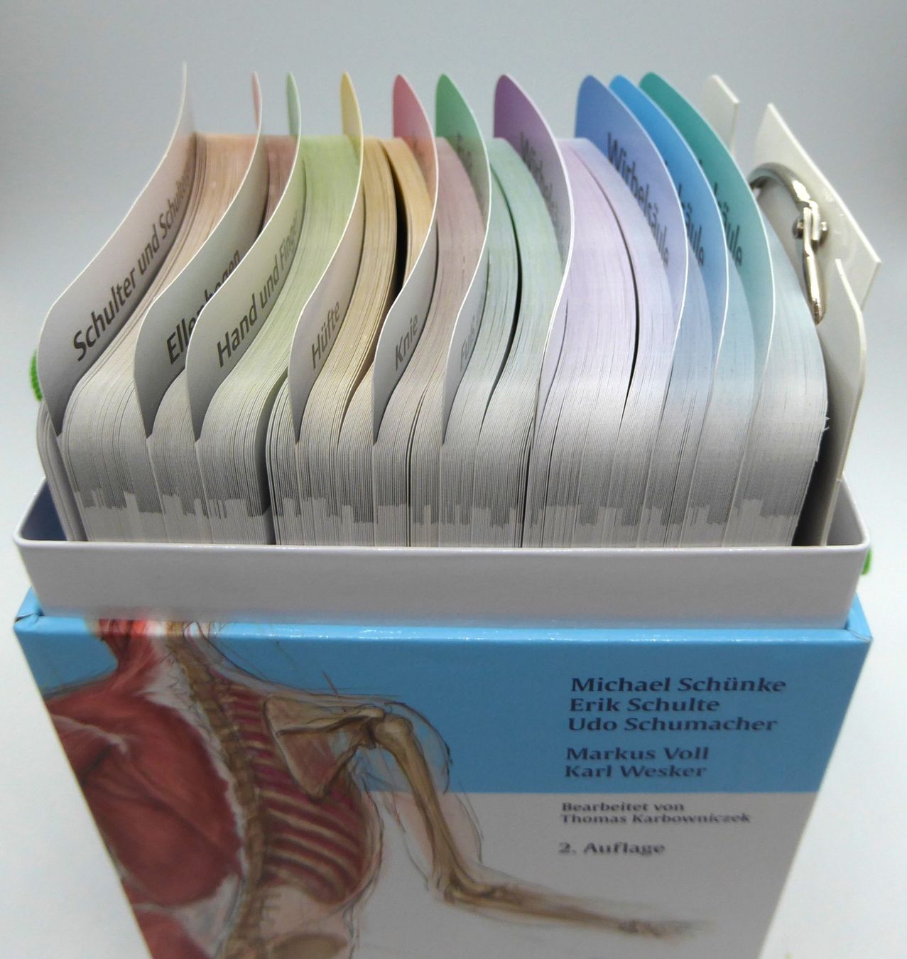 Altro materiale scolastico: PROMETHEUS LernKarten der Anatomie / des Bewegungsystems – Nuovo (secondo la descrizione) da Volketswil venduto da brockipfannenstil 6