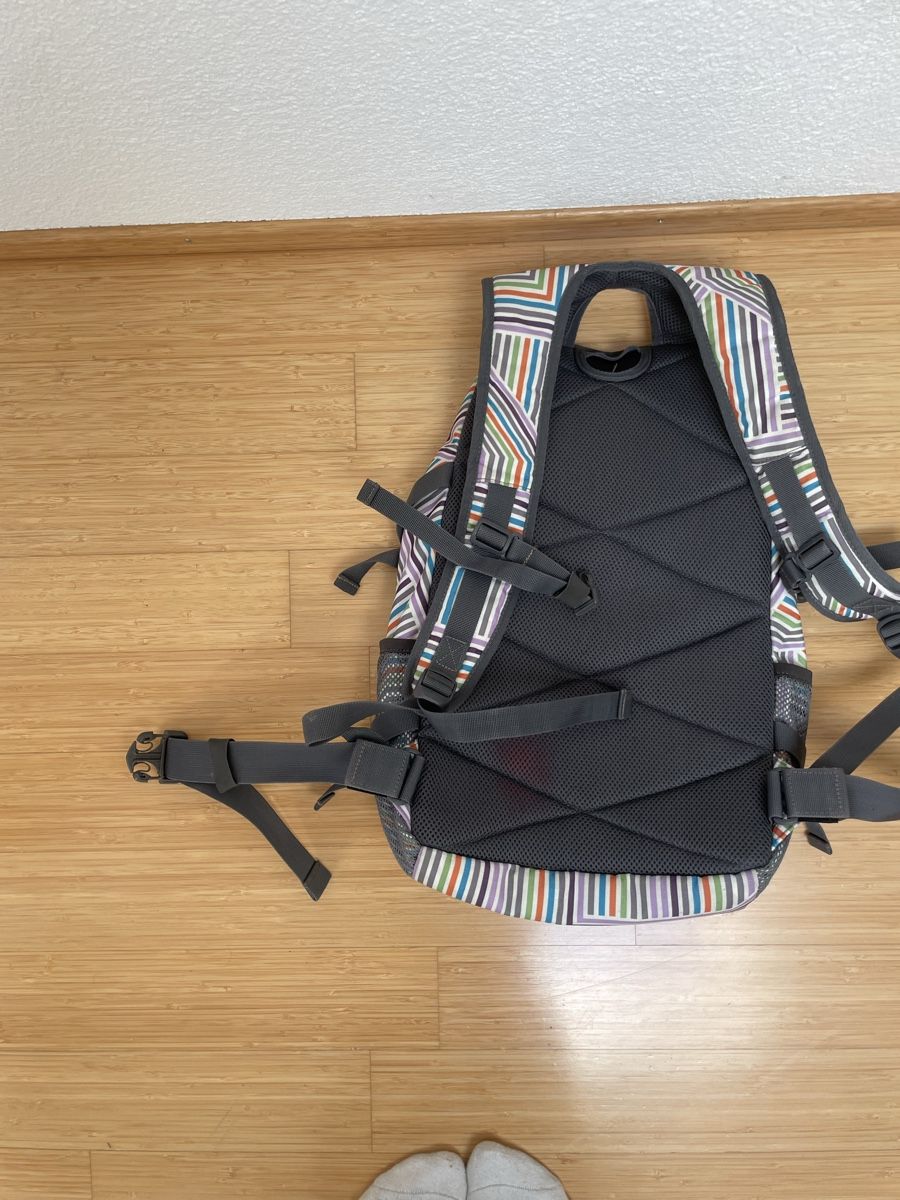 Chiemsee Borse & Zaini: Chiemsee Rucksack Schule – Usato da Bern venduto da candycrush2 2