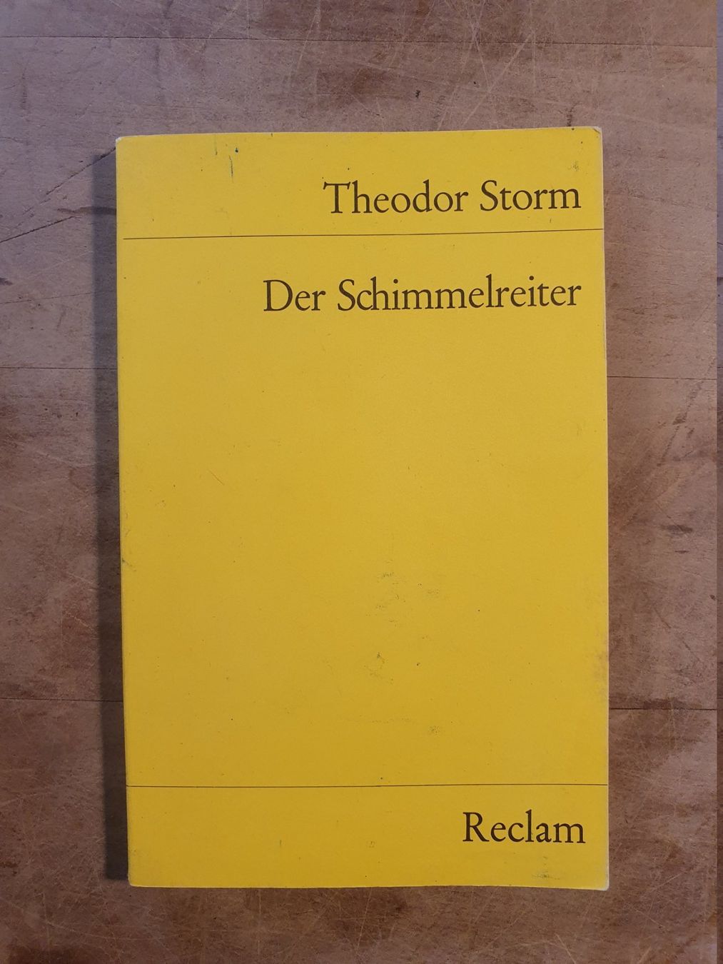 Libri: Der Schimmelreiter Theodor Storm Reclam – Usato da Zürich venduto da loosebone