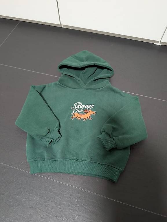 Pulls et sweat-shirts: Zara Kinderpullover, Grösse 92, neu – Neuf avec emballage d'origine à Niederuzwil par marmal