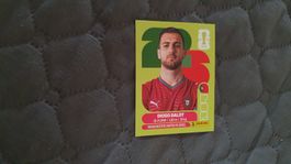 Panini WM 2026 - POR 6
