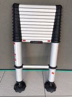 Échelle télescopique Telesteps 3,8m (150kg) - État top
