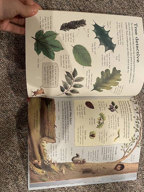 Libri: The Usborne Outdoor Book – Usato da Dietlikon venduto da VintageStudioZurich 2