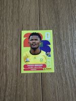 Panini FIFA World Cup 2026, RSA 8