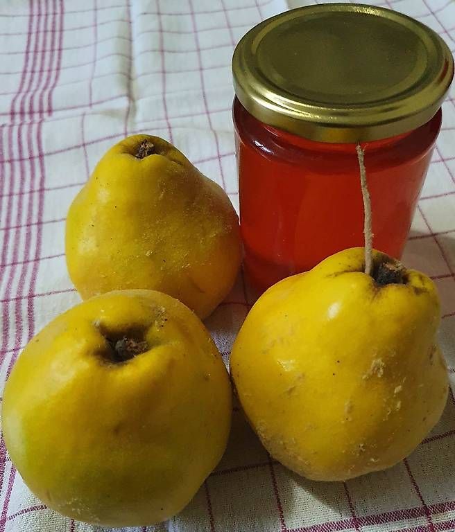 Piante & sementi: Gelée de coings. – Usato da Penthalaz venduto da Mikib72