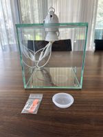 Formicarium/Terrarium mit Lampe, Top Zustand