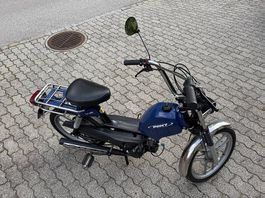 Pony zu verkaufen 