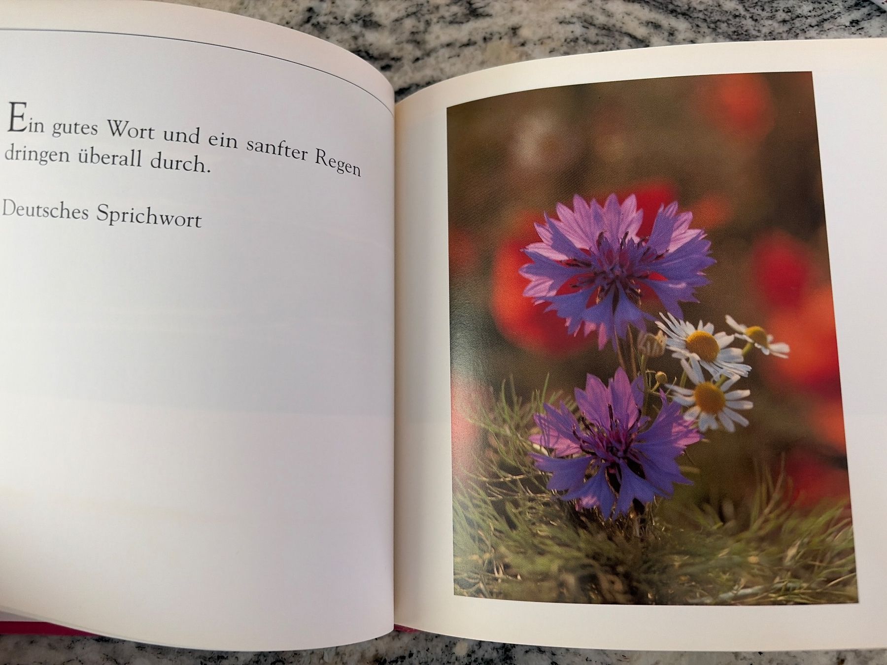 Libri: Buch mit Bildern und Gedanken, ars edition – Nuovo (secondo la descrizione) da Thalwil venduto da Sommerwende 3