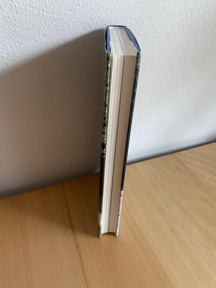 Libri: Senseflüe - Peter Imhof  – Usato da Schwarzenburg venduto da Michellu 2