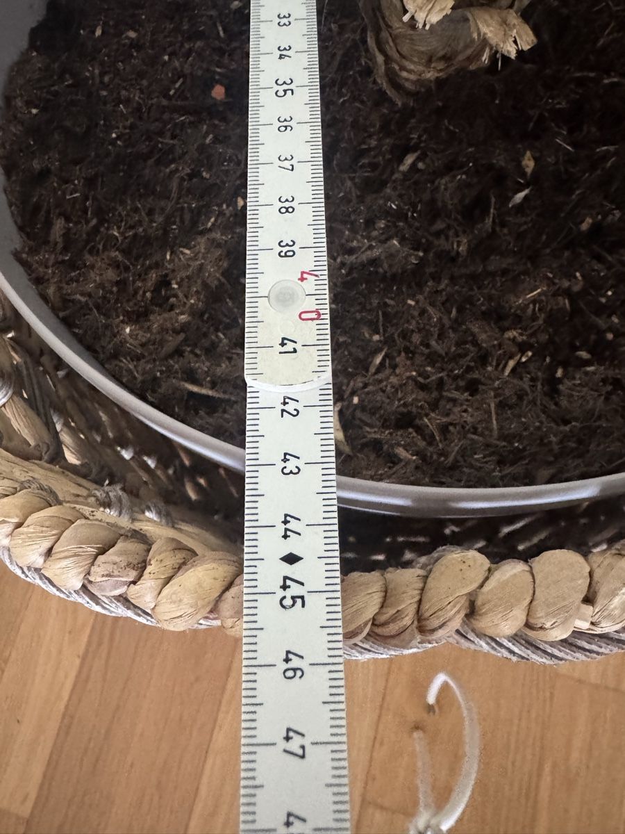 Altro per la casa: Geflochtene Korb H48xB45cm 50 Fr – Nuovo (secondo la descrizione) da Zürich venduto da Ekaterinek 3
