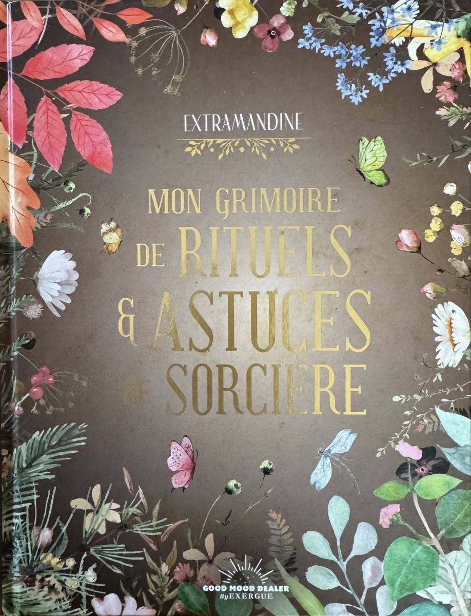 Libri: Mon grimoire de rituels & astuces de sorcière – Nuovo (secondo la descrizione) da Riddes venduto da pullrose