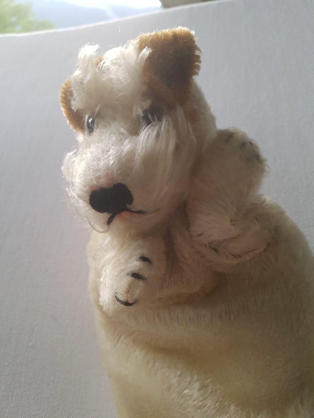 Steiff Giocattoli: Steiff Vintage Handpuppe Foxy – Usato da Chur venduto da Okapi77