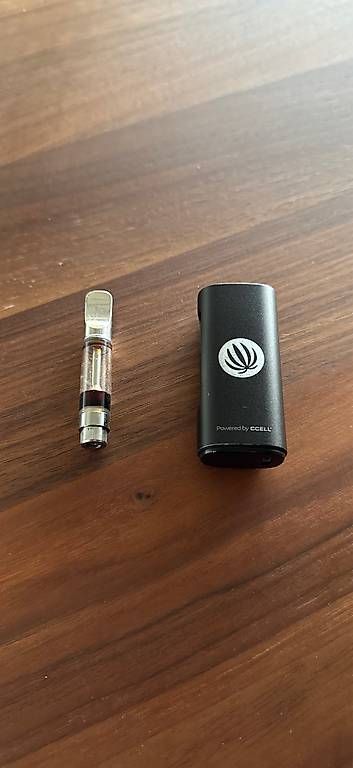 Altri Prodotti per fumatori: Vaporizer Green Passion – Usato da Basel venduto da Boebserich 4