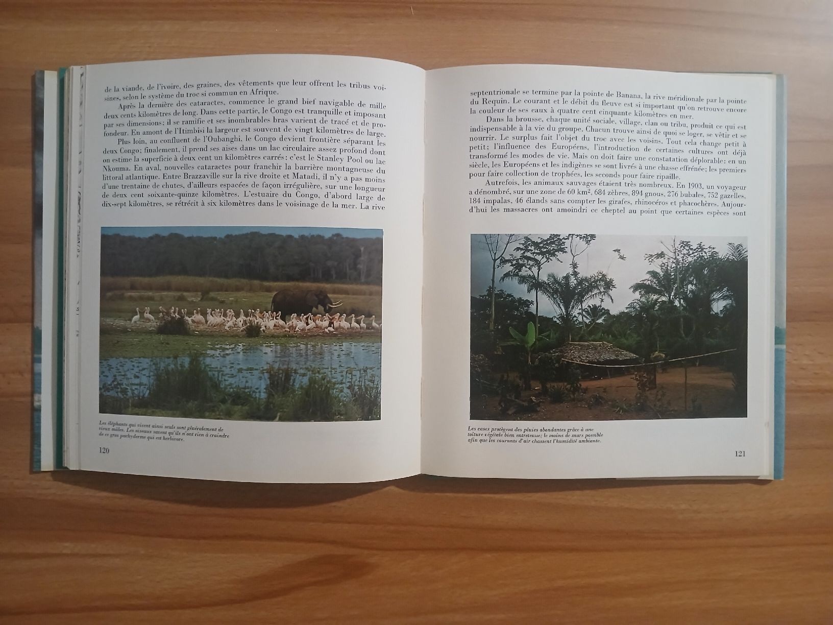 Libri: Livre Grands Fleuves – Usato da Le Sentier venduto da arc_2thy 8