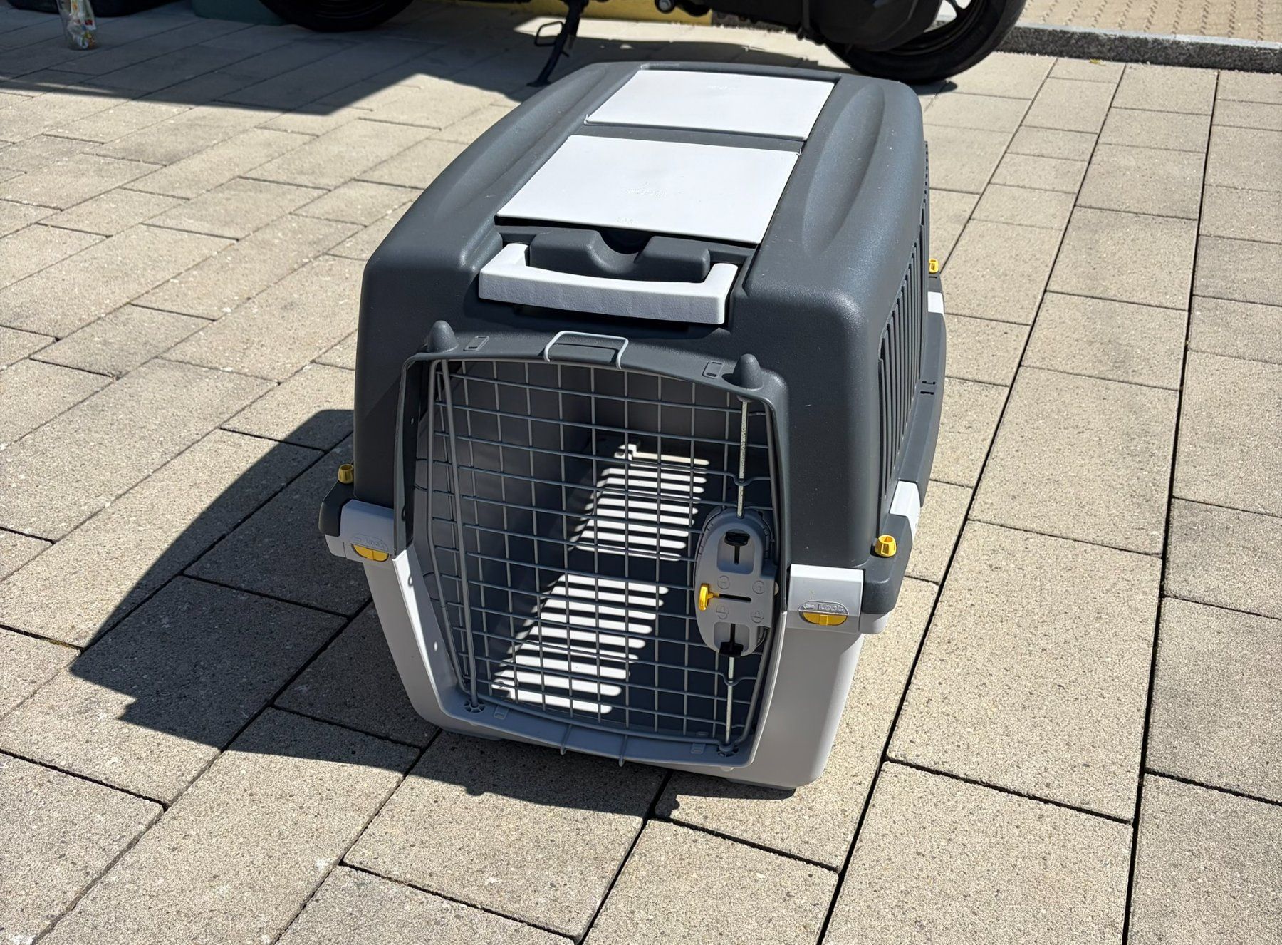 Gabbie, trasporto & Sicurezza: Grosse, graue Tier Transportbox für Hunde oder Katzen – Nuovo (secondo la descrizione) da Neunkirch venduto da goggo535