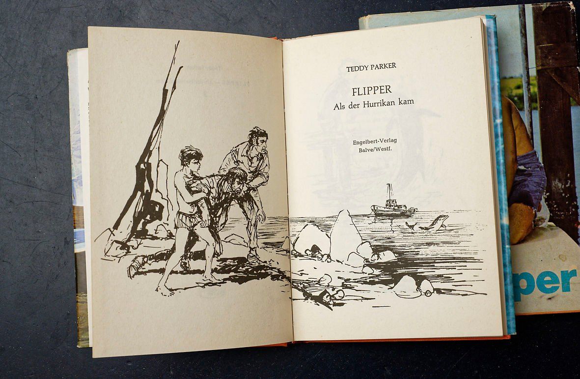 Bücher: 3 Bücher Flipper Auflage 1970 – Gebraucht aus Bern von Maccalvin 4