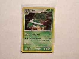 Torterra holo bleed Diamond & Pearl Base EN