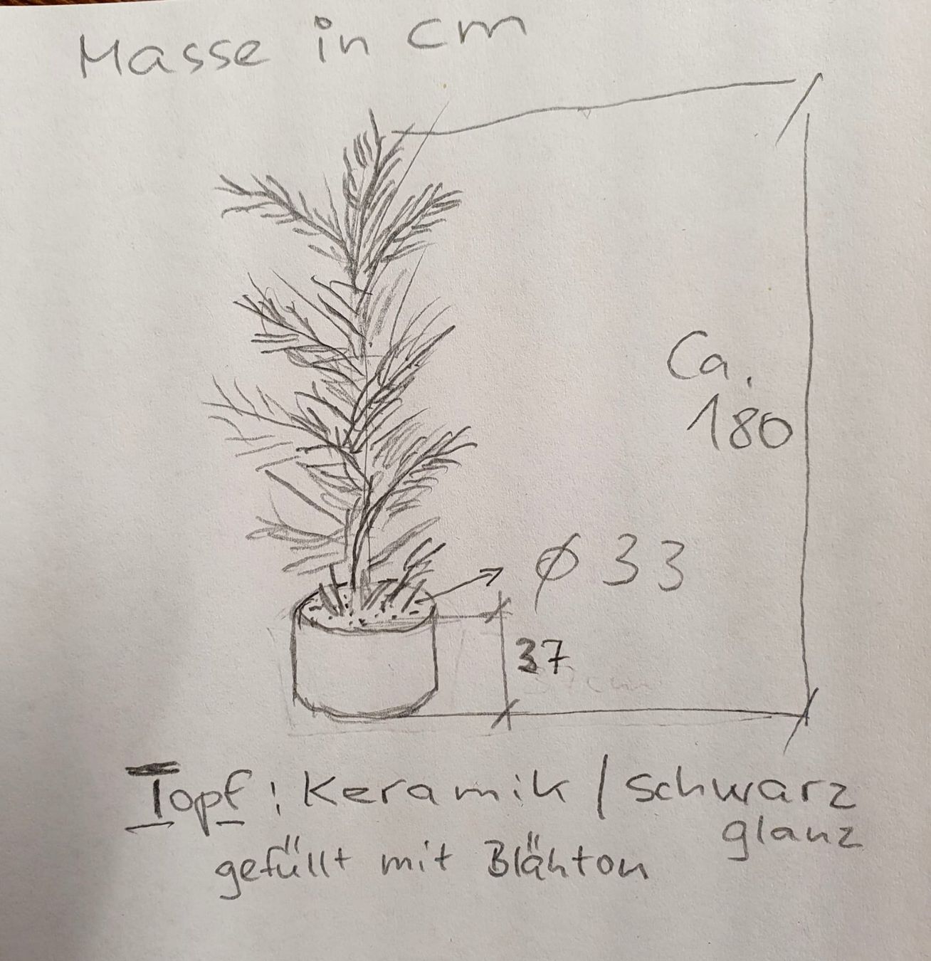 Alle Dekorationen: Kunstpalme – Gebraucht aus Altendorf von claus08 1