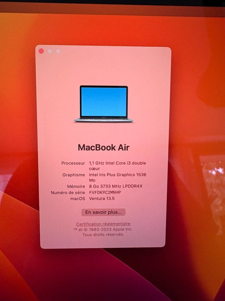 Apple Notebook: MacBook Air A2179 Gris – Usato da Biel/Bienne venduto da Bilog 1