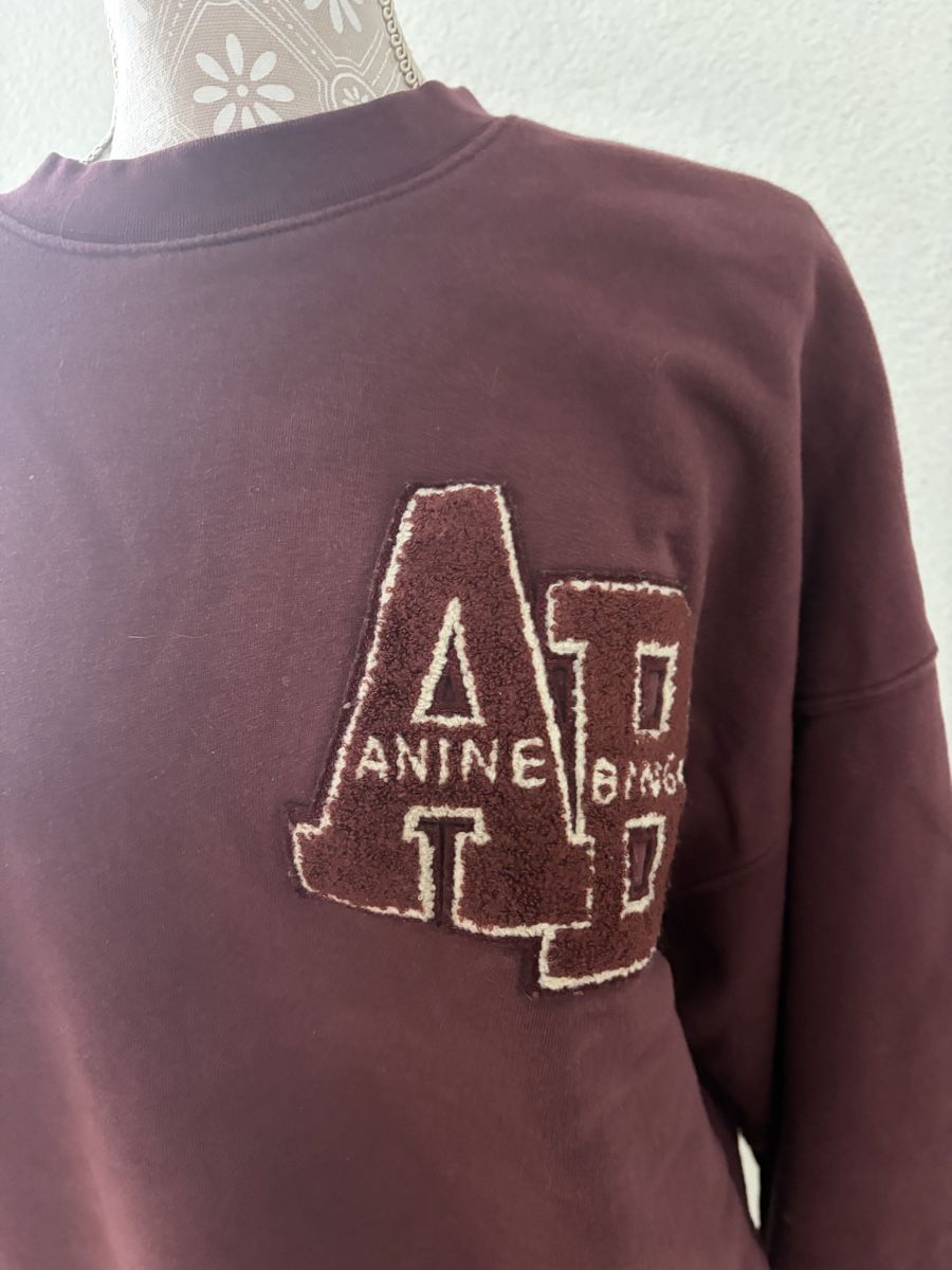 Anine Bing Pullover & Sweatshirts: Sweatshirt Anine Bing Grösse M – Gebraucht aus Bonstetten von Moma10 2
