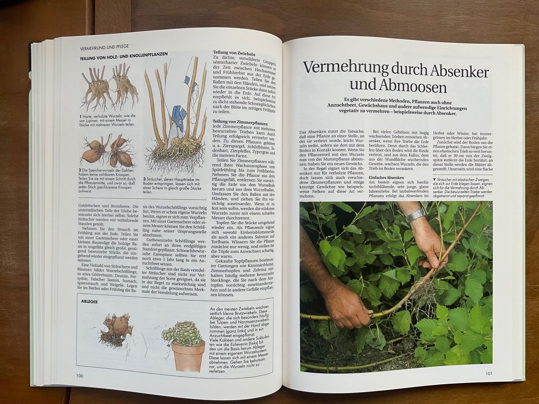 Libri: Gartenarbeit leichtgemacht – Usato da Zürich venduto da tol_b7c7 4
