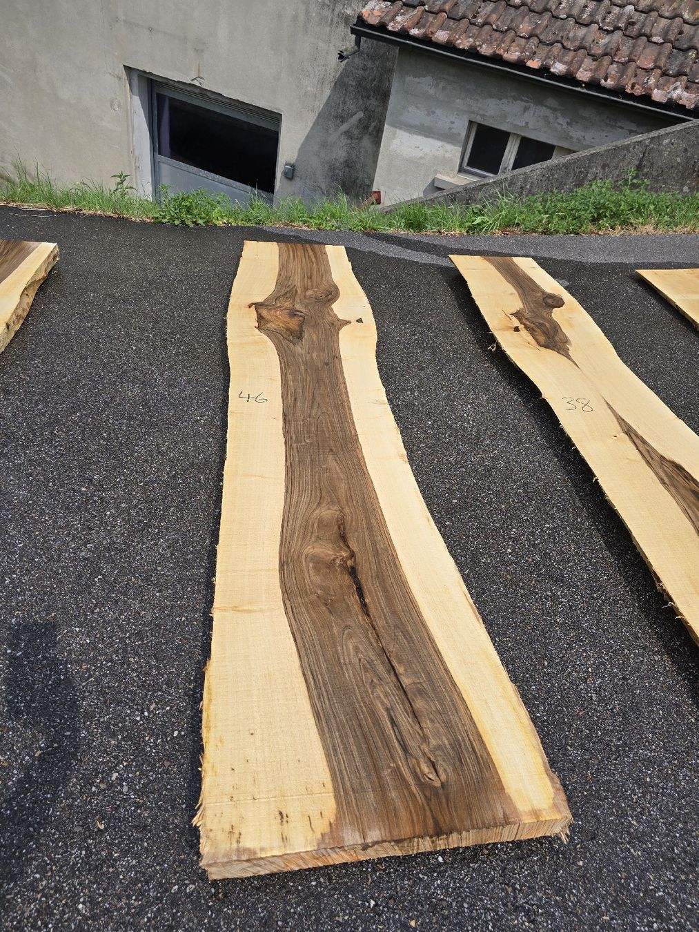 Articoli in legno: Nussbaumstamm frisch – Nuovo (secondo la descrizione) da Ramsei venduto da Waelchris 6