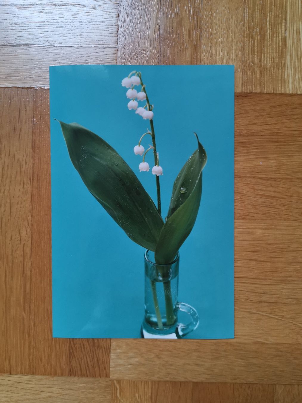 Karten: 21 Foto Karten, Blumen – Neu (gemäss Beschreibung) aus Dornach von Hei50 6