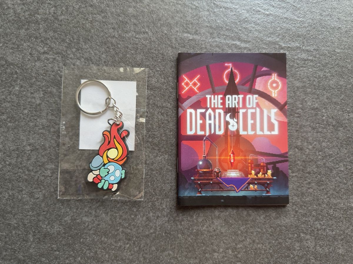 Nintendo Giochi: Dead Cells Nintendo Switch GOTY – Usato da Zürich venduto da cENS0R 2