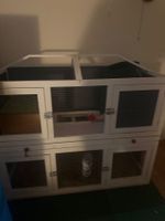 Cage pour rongeurs en bois avec plusieurs niveaux