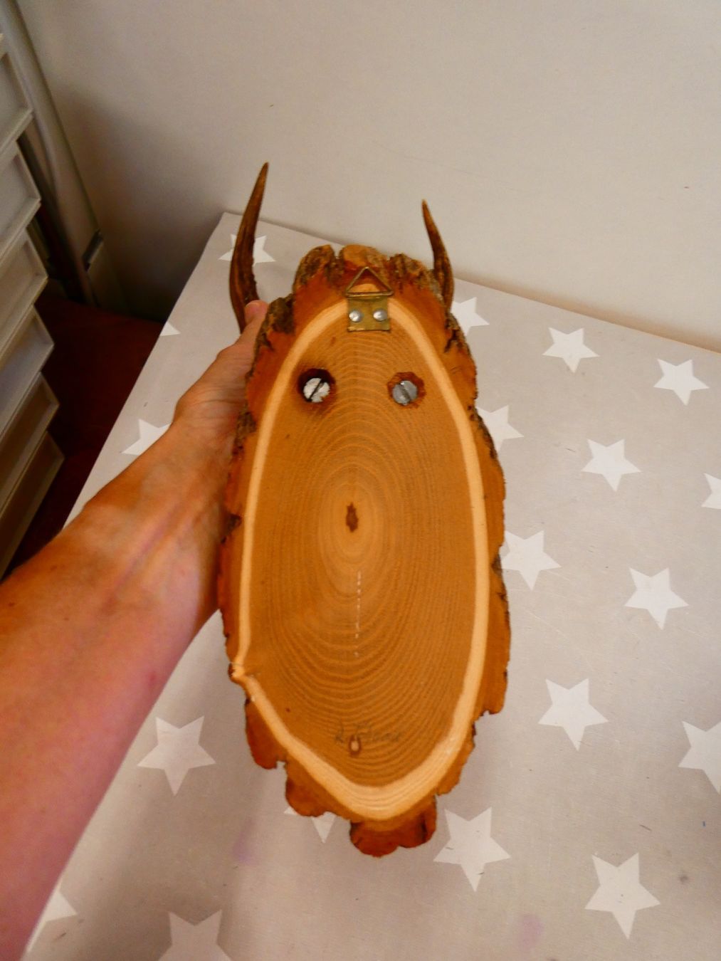 Il mondo degli animali: Geweih Reh? Hirsch? Nr. 1 – Usato da Rafz venduto da Powacaddy 2