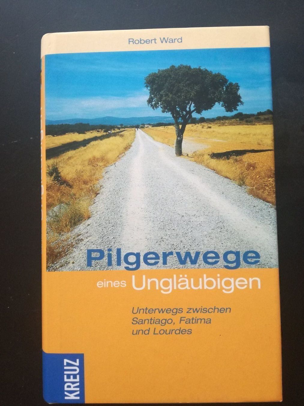 Libri: Robert Ward, Pilgerwege eines Ungläubigen – Nuovo e nell'imballaggio originale da Zürich venduto da Tolima194