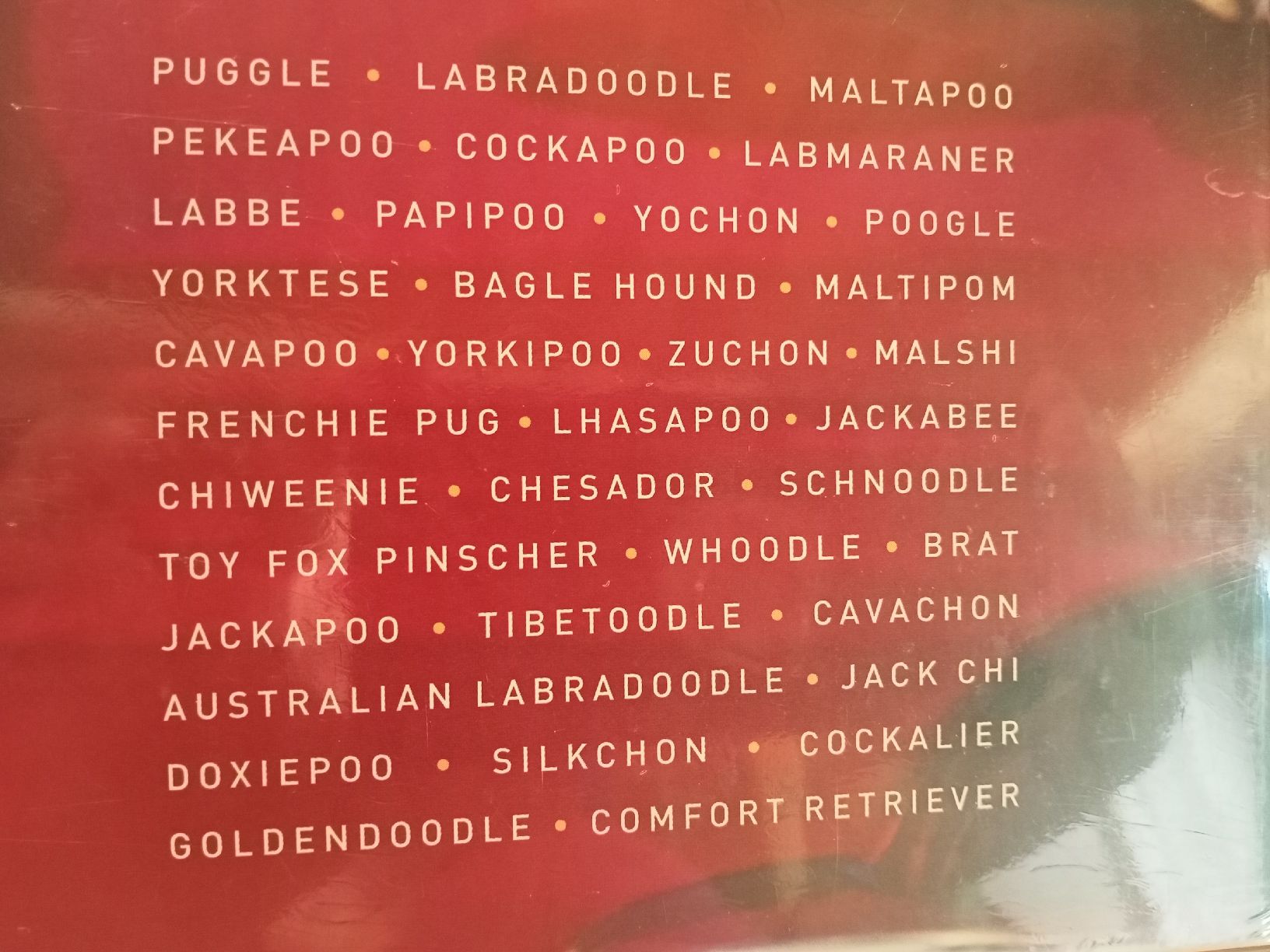 Libri: Coile: Designer Dogs – Nuovo e nell'imballaggio originale da Oftringen venduto da Myti 3