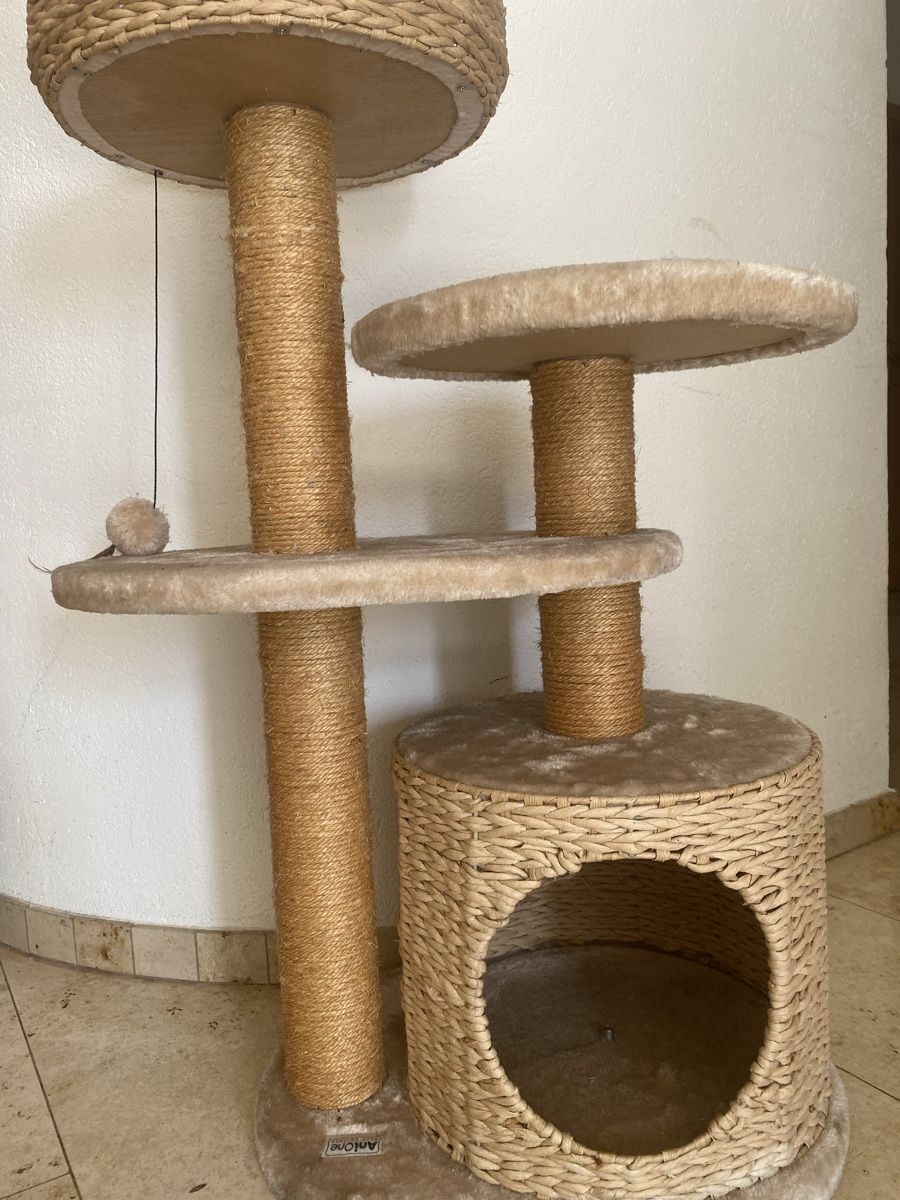 Tiragraffi: Katzenbaum – Usato da Brunnen venduto da NNinnello