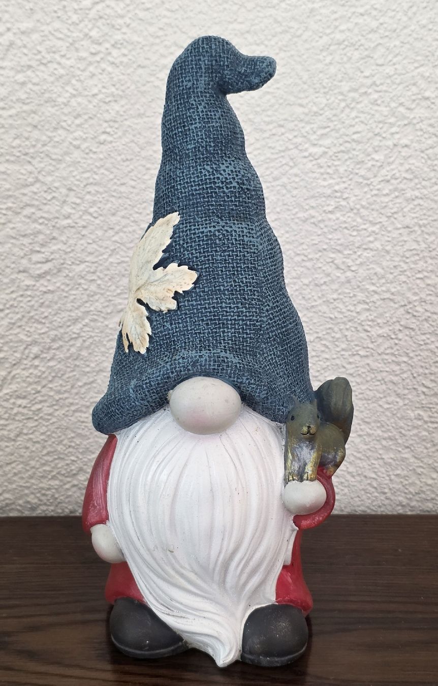 Tutte le decorazioni: Deko Gartenzwerg mit Eichhörnchen  – Usato da Rheinsulz venduto da Gilea