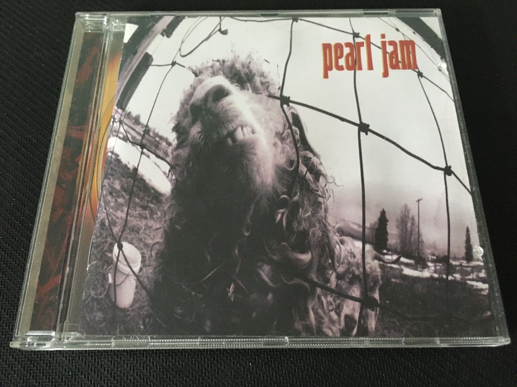 CD: Pearl Jam – Vs. -CD- – Usato da St.Gallen venduto da MedienJoe