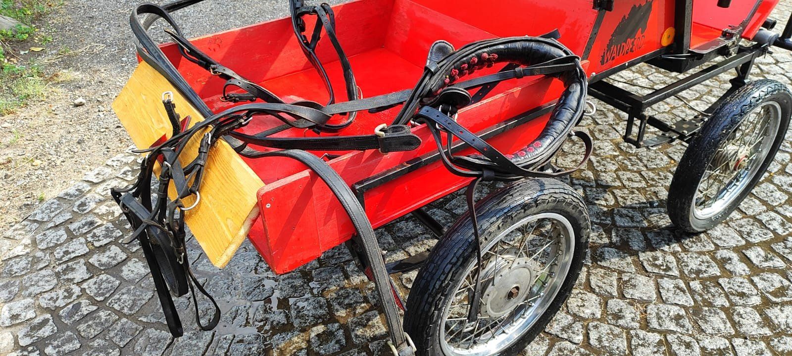 Kutschen: Pferdekutsche / Pferdewagen, 1 oder 2-Spänner – Gebraucht aus Dürnten von markusdubs 6