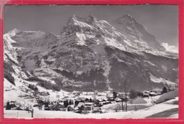 GRINDELWALD, FIESCHERHÖRNER, HÖRNLI UND EIGER, 15.4.1954