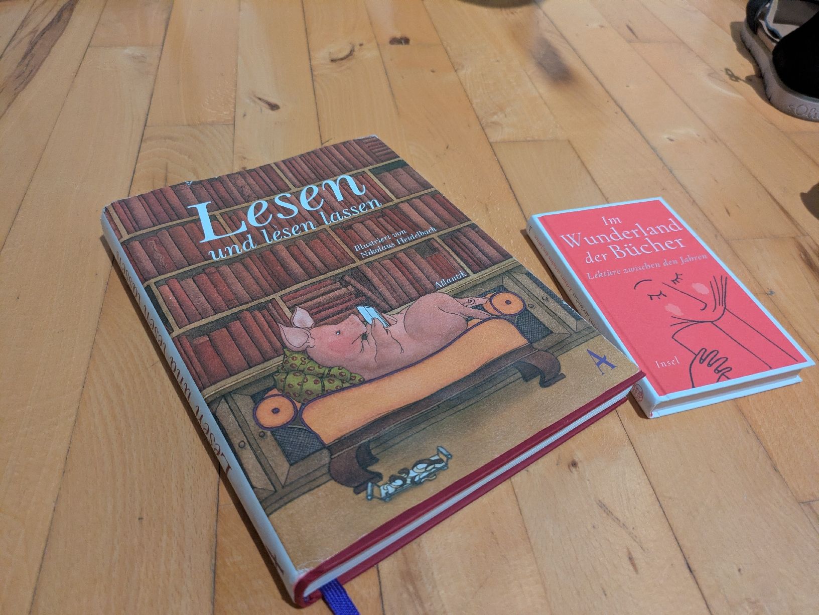 Libri: verschiedene Bücher – Usato da Wädenswil venduto da mon_5cn9 1