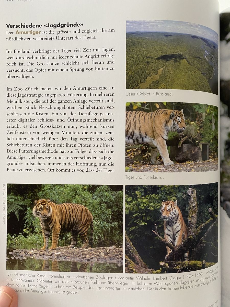 Libri: Informatives Tierbuch Zooführer, Neu! – Nuovo e nell'imballaggio originale da Wetzikon ZH venduto da Louisiana-Girl 8