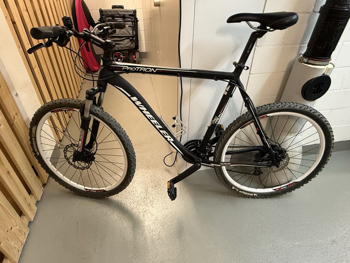Wheeler Biciclette: Mountenbike Wheeler XXL – Usato da Egg b. Zürich venduto da naja8591