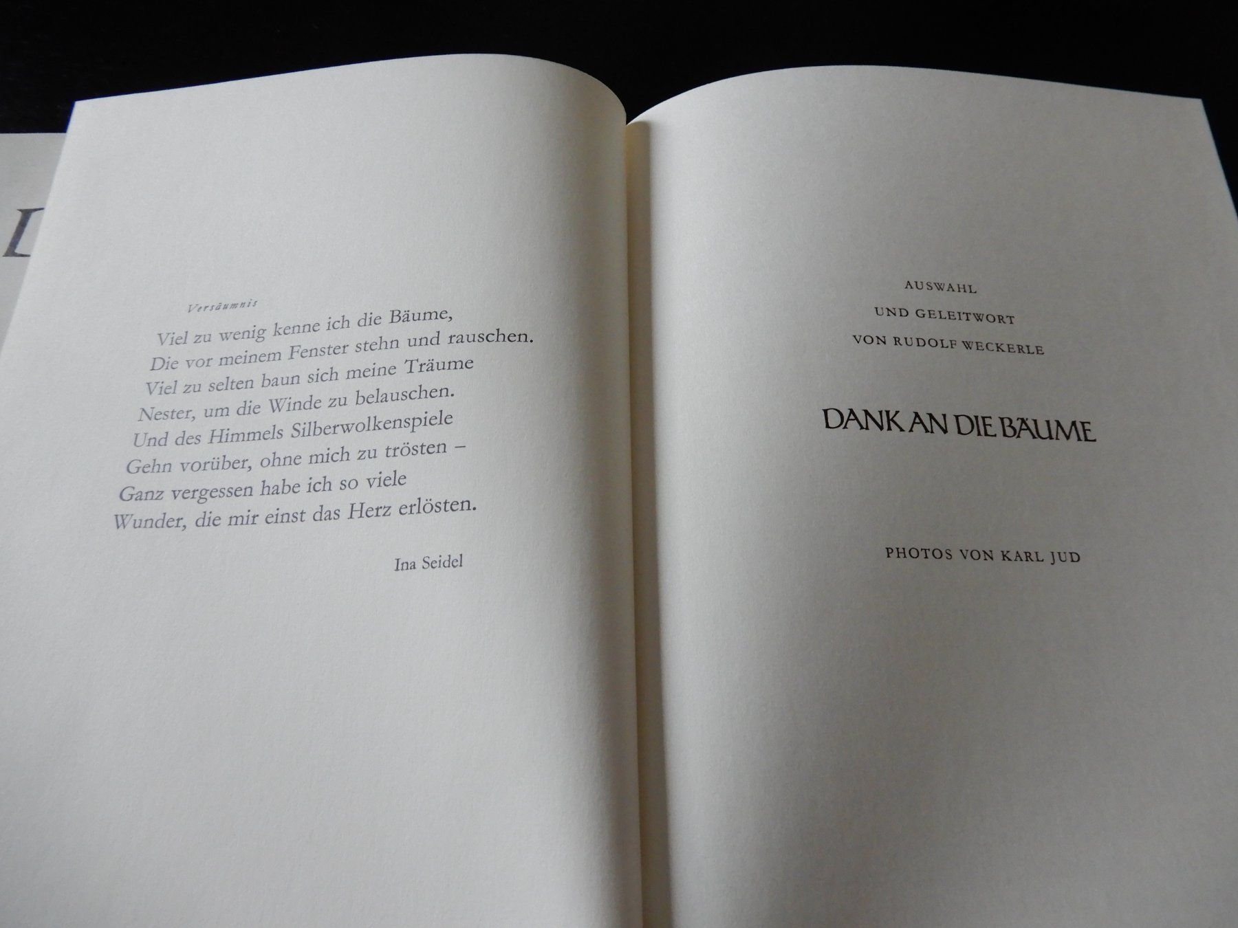 Libri: Dank an die Bäume – Usato da Erstfeld venduto da Mario_boe0 5