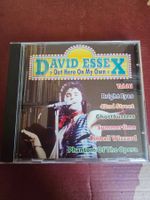 CD - David Essex – Out Here On My Own (Pop Rock)
