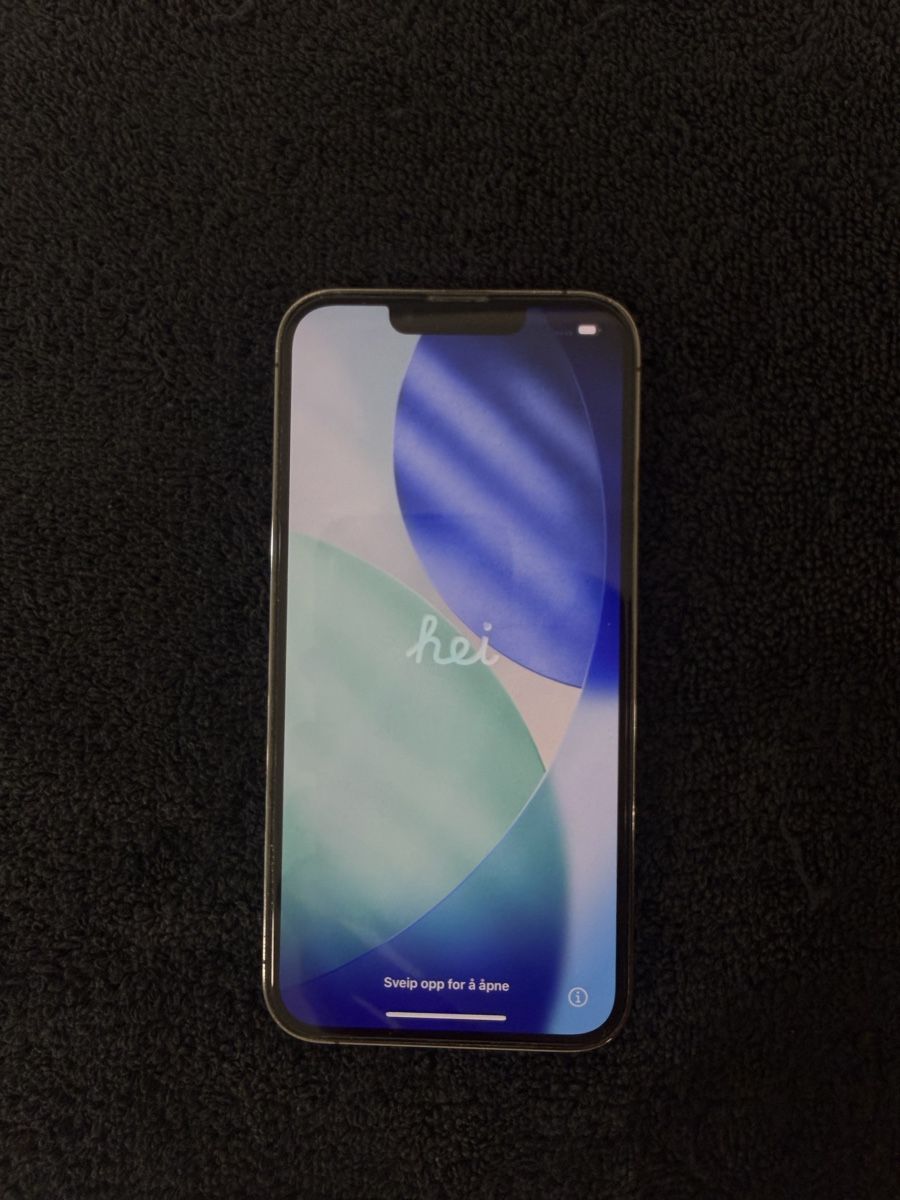 Apple Telefoni cellulari / Smartphones: iPhone 13 Pro ab 1.- – Usato da Chur venduto da DemianCasanova
