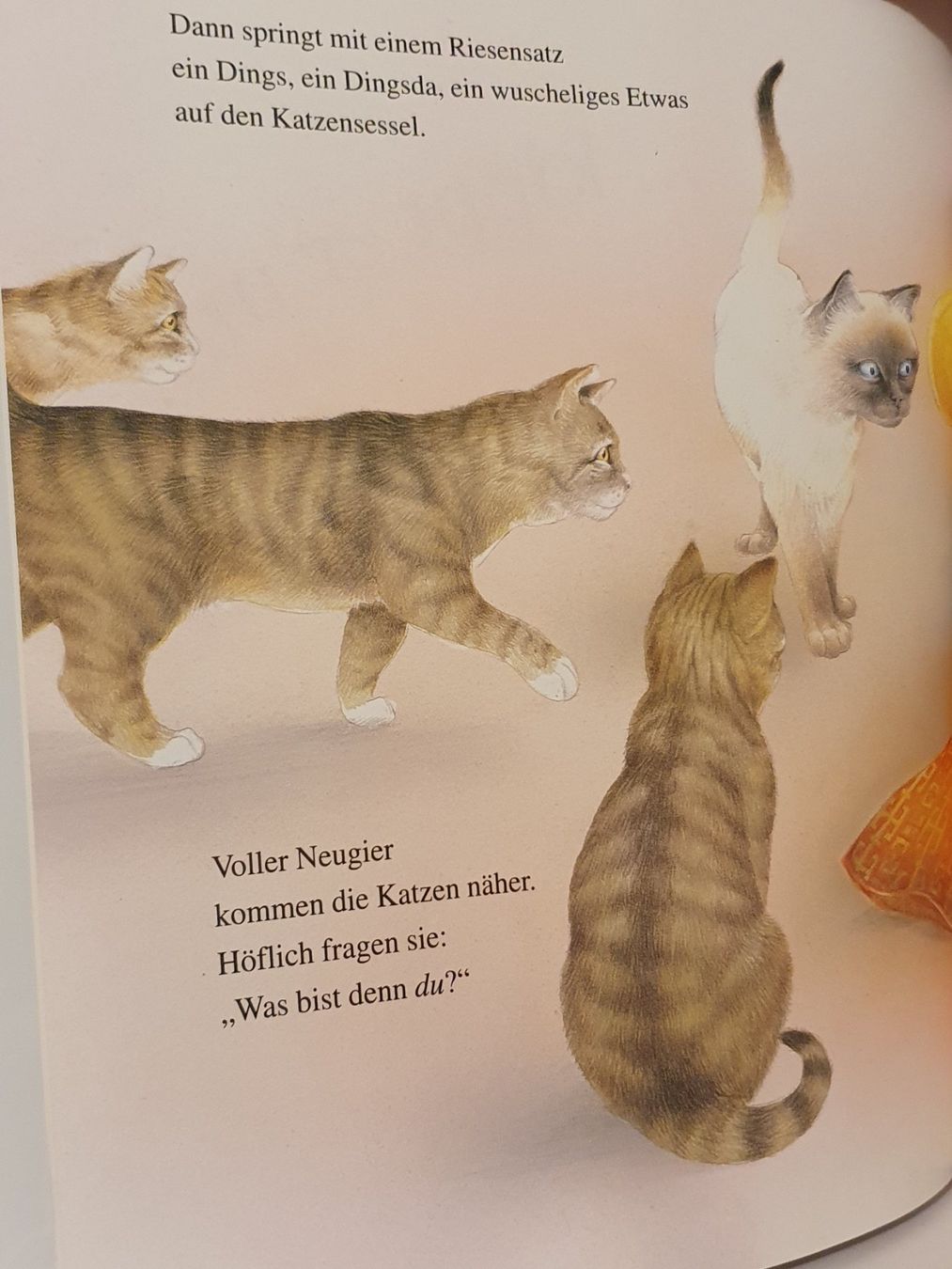 Bücher: Und du willst eine Katze sein / 1997 Kinderbuch / #L – Gebraucht aus Oberdorf BL von BaldenEagle 2