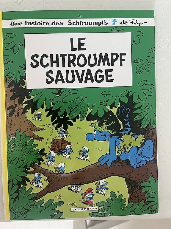 Fumetti: BD Schtroumpfs – Usato da Lausanne venduto da Catherine1003 1