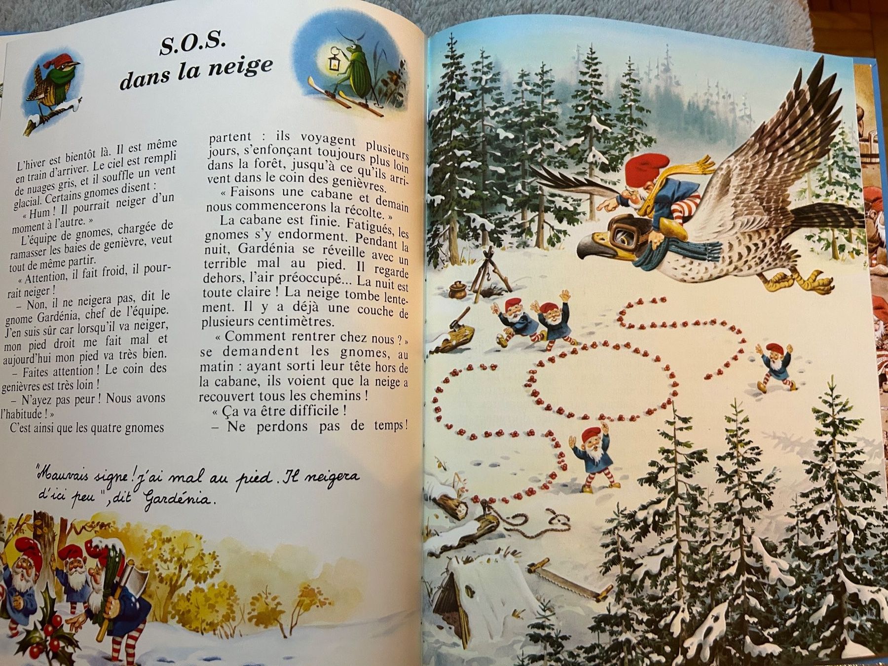 Libri: CONTES DU JOLI BOIS   LES GNOMES – Usato da Genève venduto da zonzon9351 4
