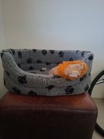 Hundebett