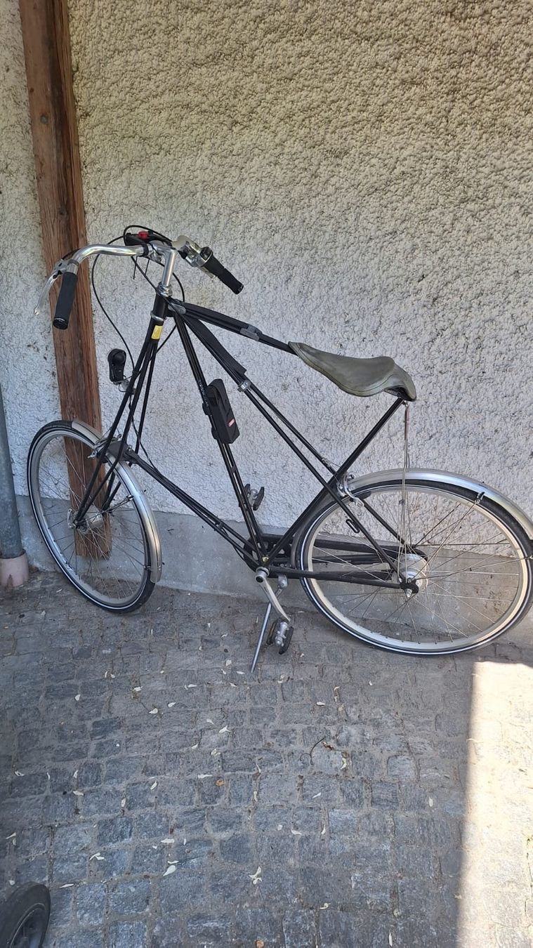 Biciclette: Pedersen Hängesattelvelo > ein Hingucker – Usato da Hinwil venduto da dun_tt2z