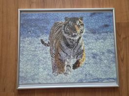 Tiger Puzzle Bild Schnee