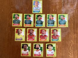 Panini FWC 2026